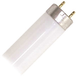 fluorescent light bulbs