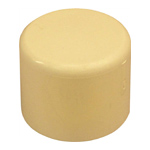 cpvc caps