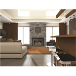 gas-burning stove, fireplace, insert