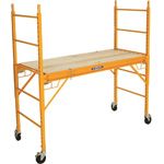 scaffolds