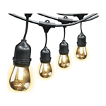 specialty, rope and string lights