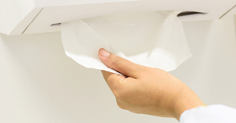 Paper Towels
