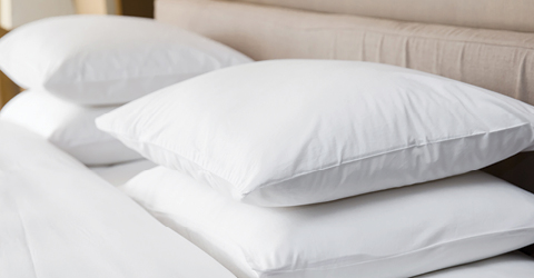 Pillows, Pillow Protectors and Pillow Cases