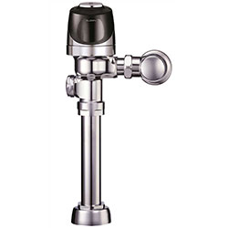 Flush Valves/Flushometers