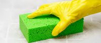 Green Cleaning