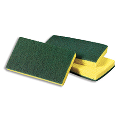 Sponges & Scouring Pads