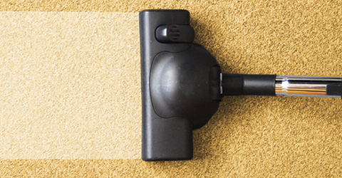 Find the Right Bag for Your Vacuum