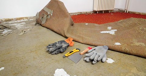 How to Remove Water and Prevent Mold in Carpet