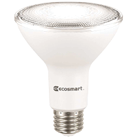 Flood and Spot LED Light Bulbs