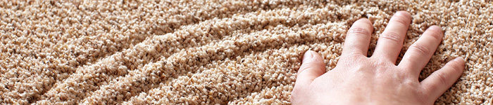 Complete Guide to Carpet Care