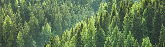 sustainability