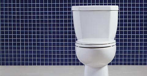 Toilets, Urinals & Flush Valves