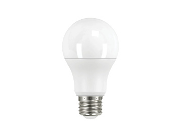 Shop LED