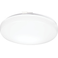 Flush Mount Ceiling Lights