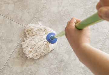 Mops 101: A Selection Guide