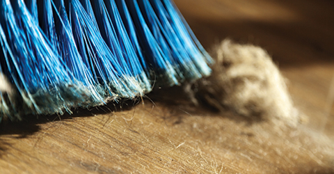Choose the Right Brush