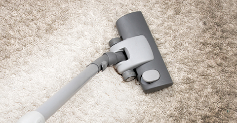 Clean and Maintain Floors