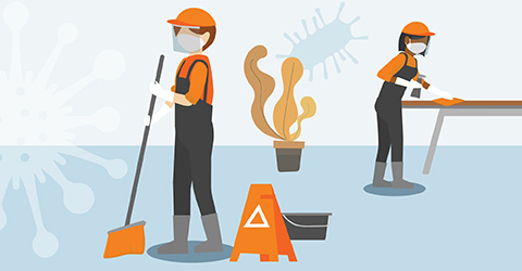 Cleaning, Sanitizing & Disinfecting