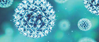 Reduce Germ Hot Spots
